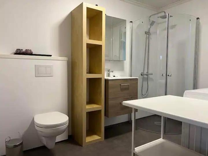 Lekkert Gjestehus Med Gratis Parkering Pa Stedet. Levanger Extérieur photo