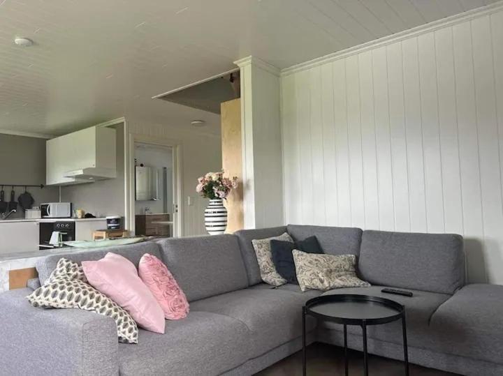 Lekkert Gjestehus Med Gratis Parkering Pa Stedet. Levanger Extérieur photo